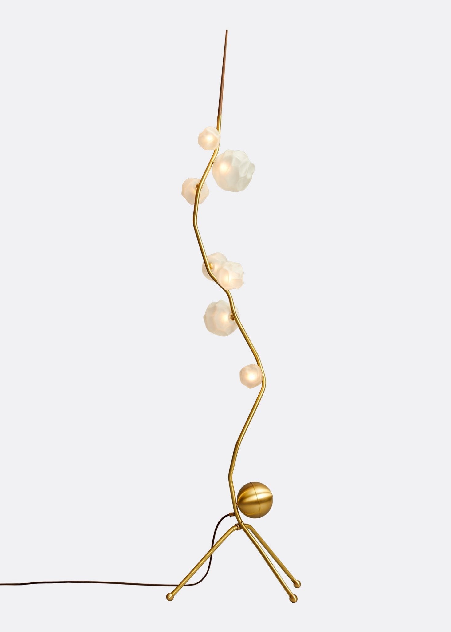 Nature Indoors: How the Ivy Branch and Aleh Wave Bring Movement to a Room